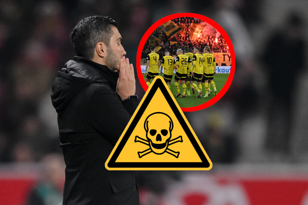 borussia dortmund mainz.jpg