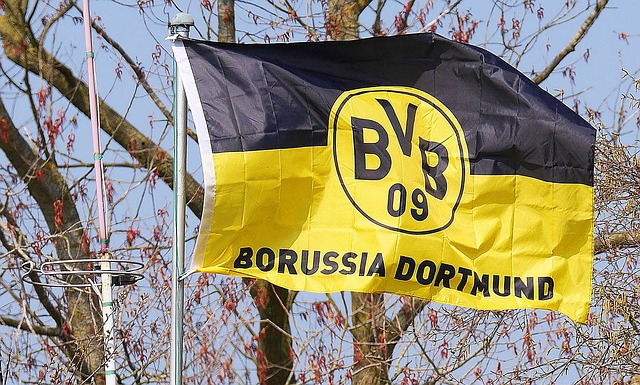 bvb 1322728 640.jpg