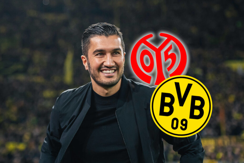 mainz borussia dortmund.jpg