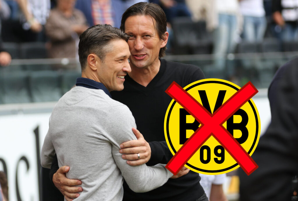 bvbvb schmidt.jpg