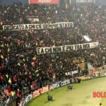 curva bologna fc.jpeg